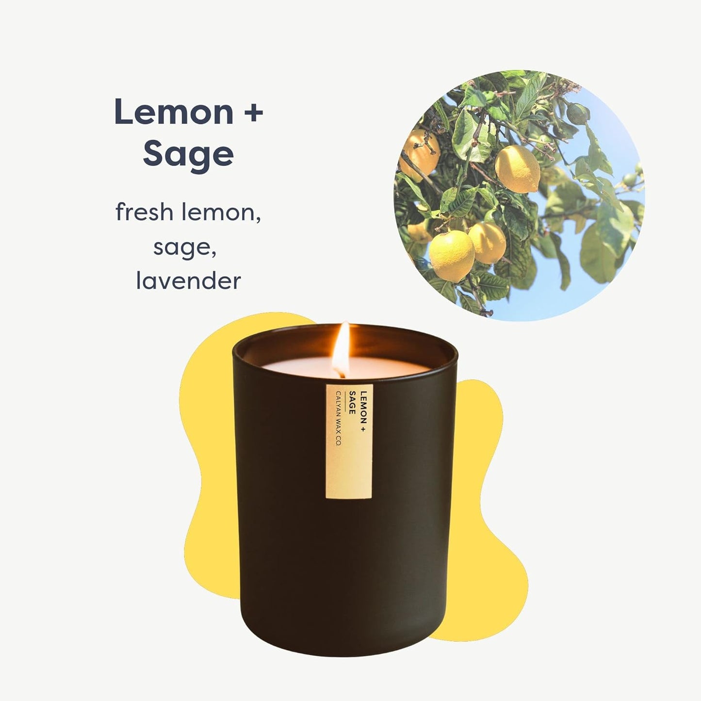 Passionfruit & Ginger Scented Candle 